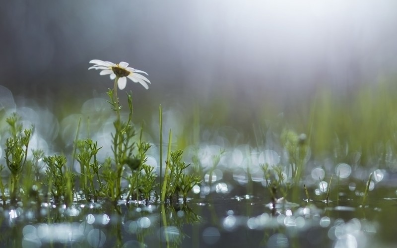 風雨中