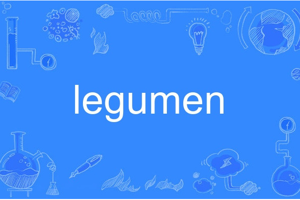 legumen