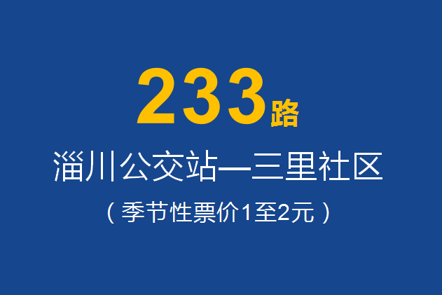 淄博公交233路