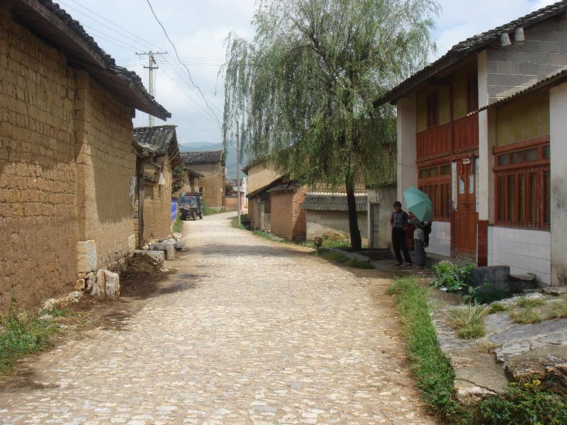 段家村自然村村內道路