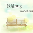 我是bug