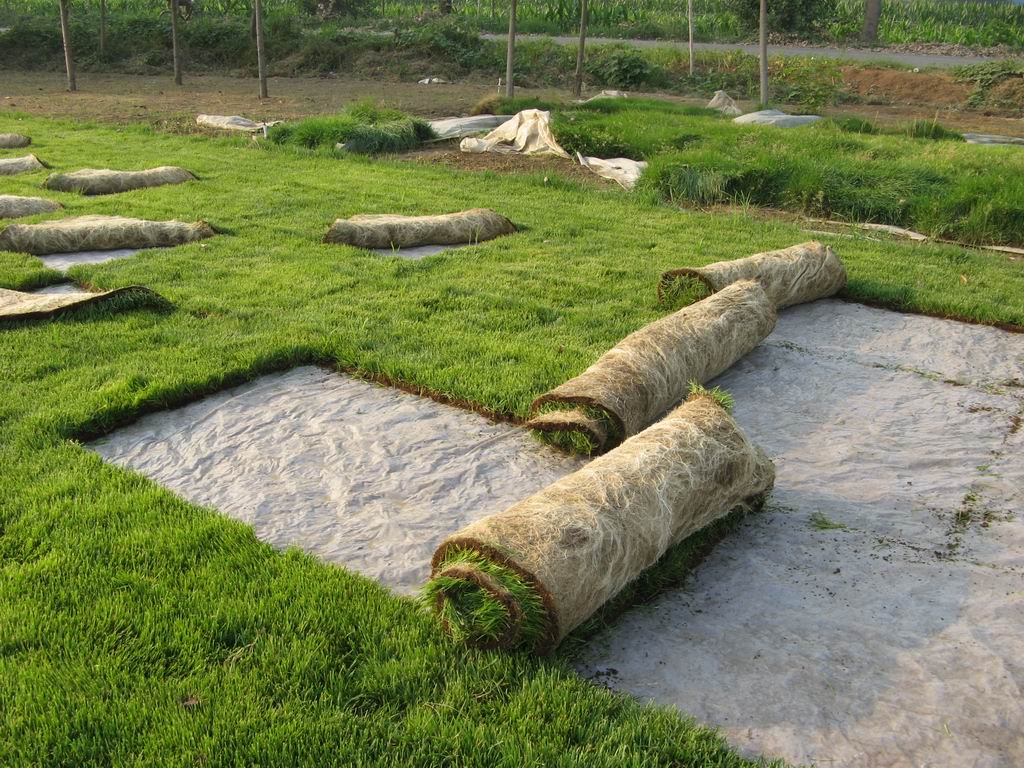 希芳閣生產基地