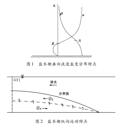 鹽水楔