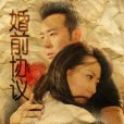 婚前協定(2012年何晟銘、白冰主演的電視劇)