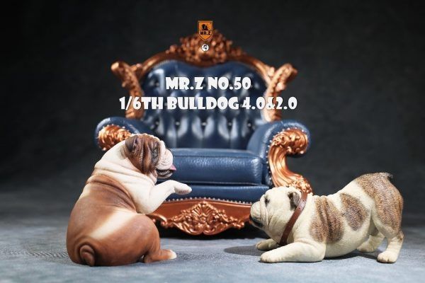 MR.Z 1/6 仿真動物第50彈英國鬥牛犬Bulldog 4.0 5款