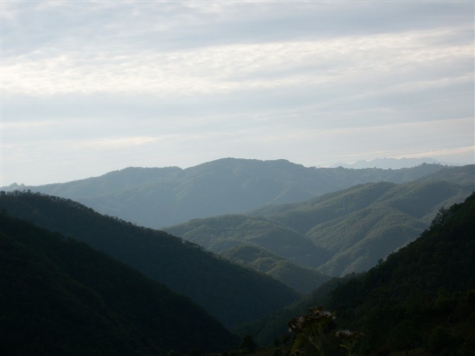 茂密村