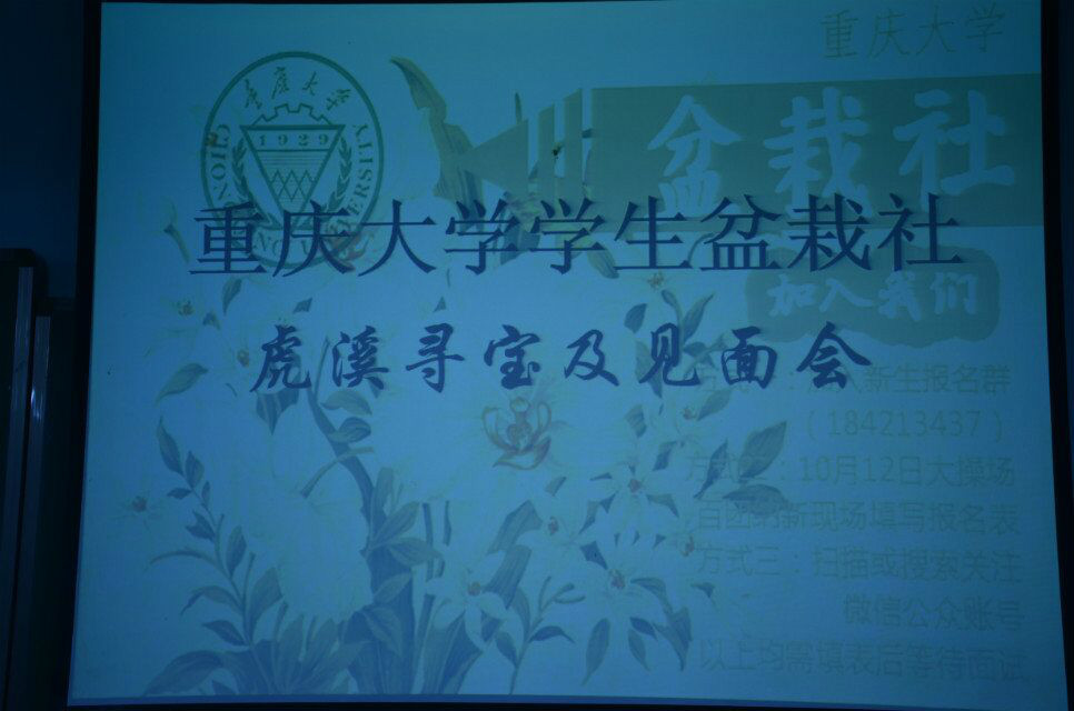 重慶大學學生盆栽協會