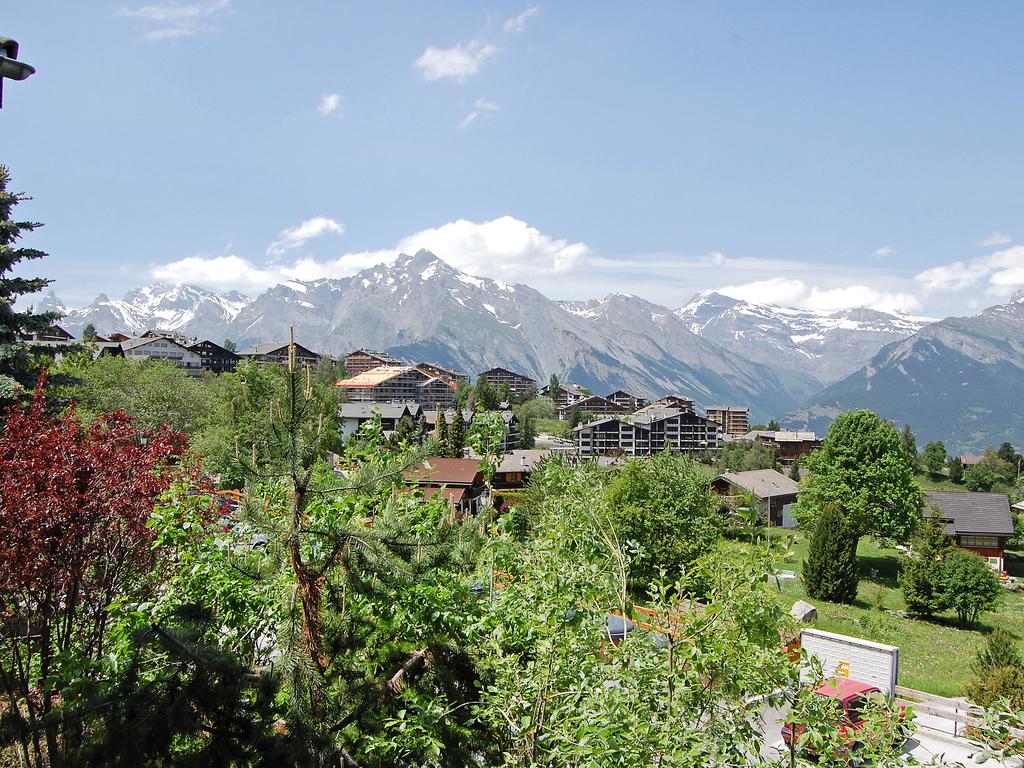 南達村(雲南省文山州廣南縣珠琳鎮南達村)