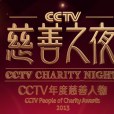 2013CCTV慈善之夜