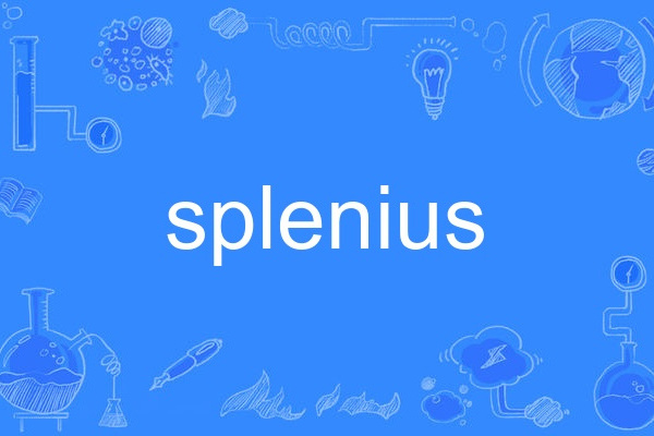 splenius