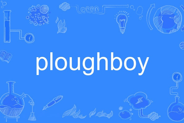 ploughboy