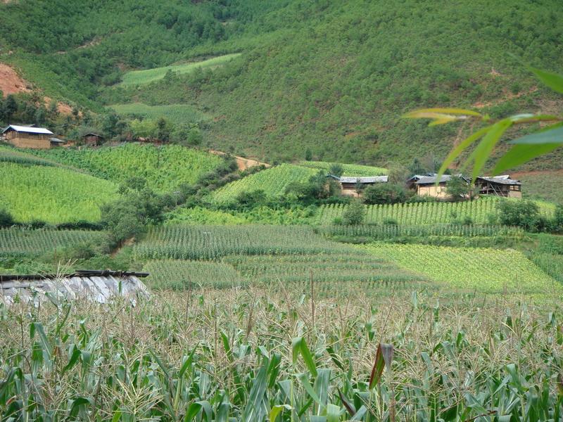 依隴村鄉村耕地鳥瞰