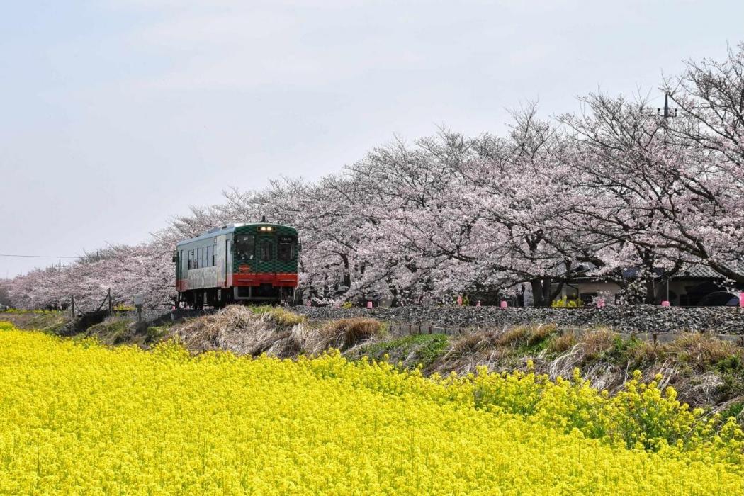 真岡線