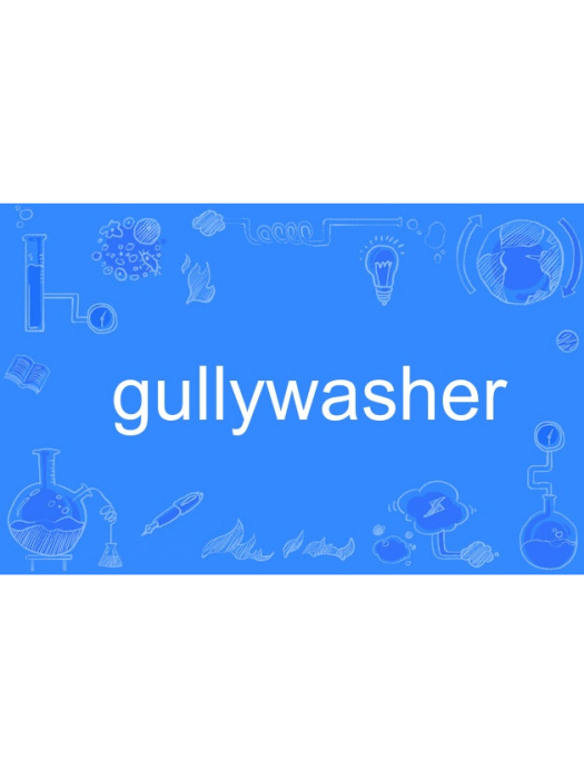 gullywasher