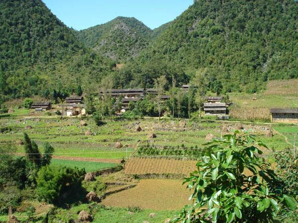 芹菜塘村(雲南省文山州西疇縣法斗鄉董有村下轄自然村)