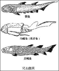 生物進化