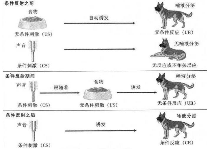 痕跡反射