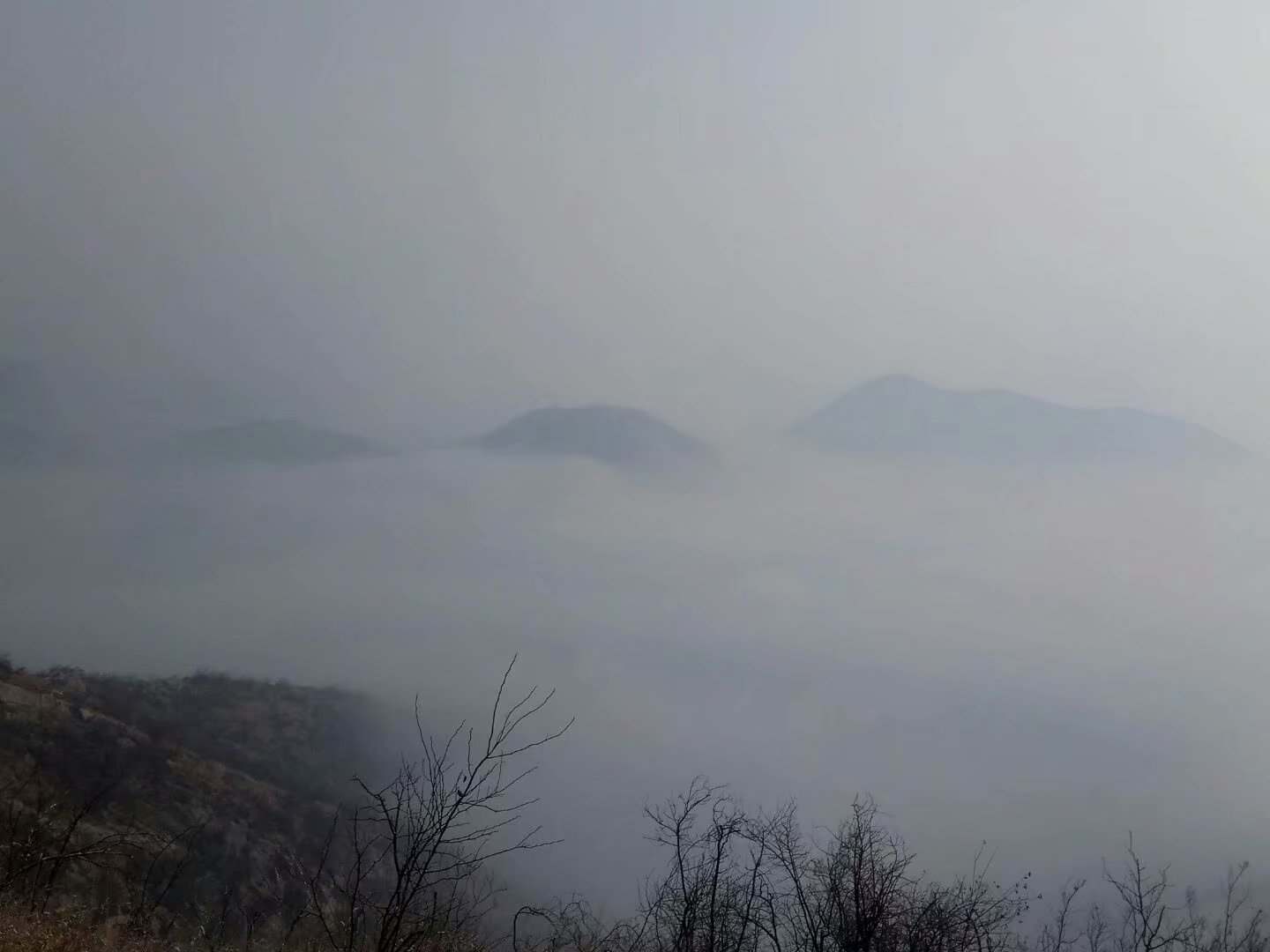 蒼龍廟雲海