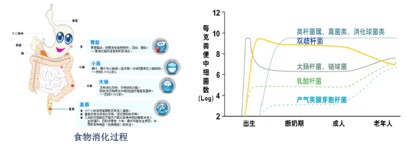 歐芮雅OUREA