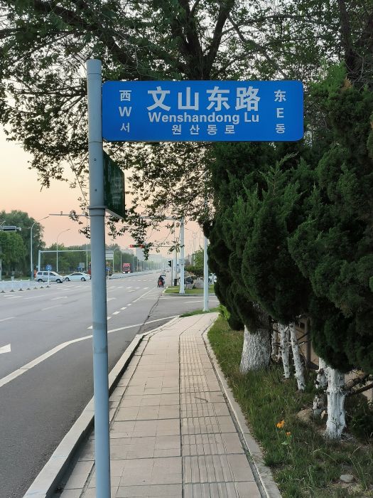 文山東路(山東省威海市文登區道路)