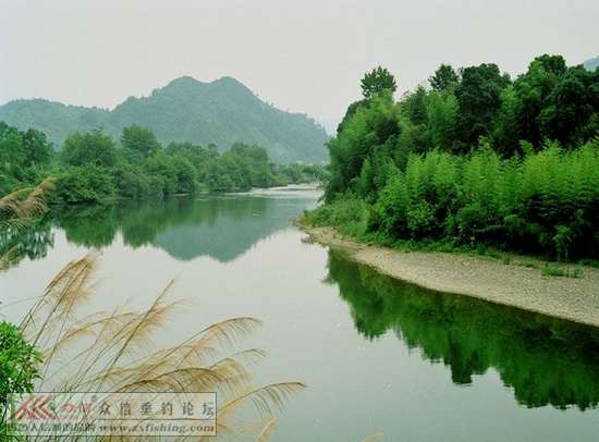 魚鳥河