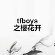 tfboys之櫻花開