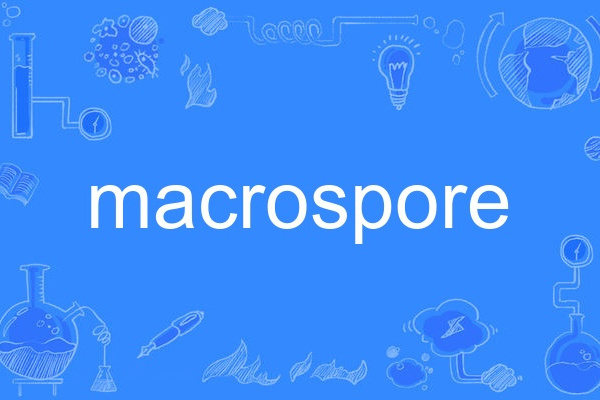 macrospore