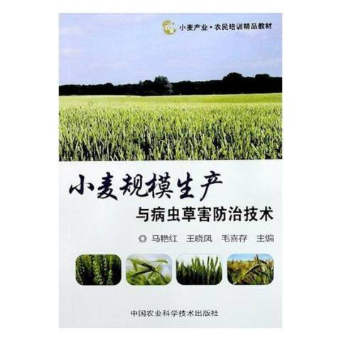 小麥規模生產與病蟲草害防治技術