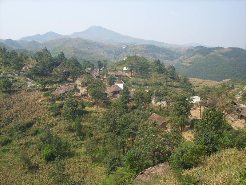 山背自然村(花朗鄉倉上村委會下轄自然村)