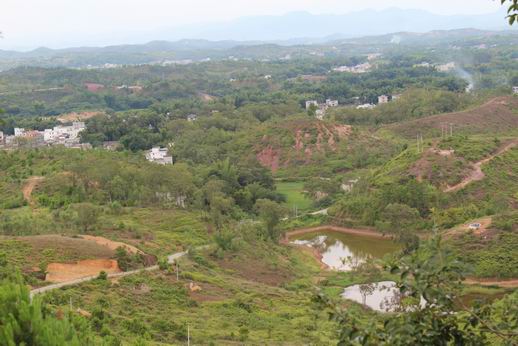 布頭村