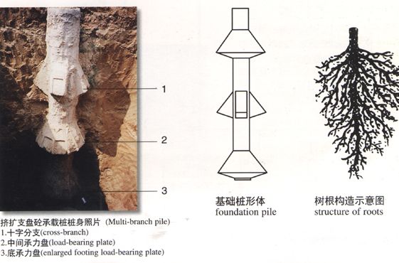 擠擴支盤樁