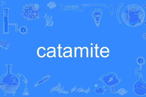 catamite