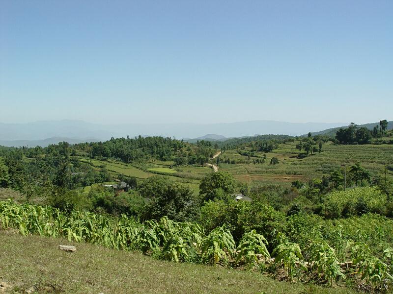 秧田邊自然村