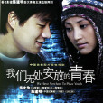 我們無處安放的青春(2008年陳道明主演電視劇)