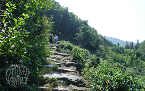 獨松關和古驛道