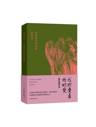 我摺疊著我的愛(2022年作家出版社出版的圖書)