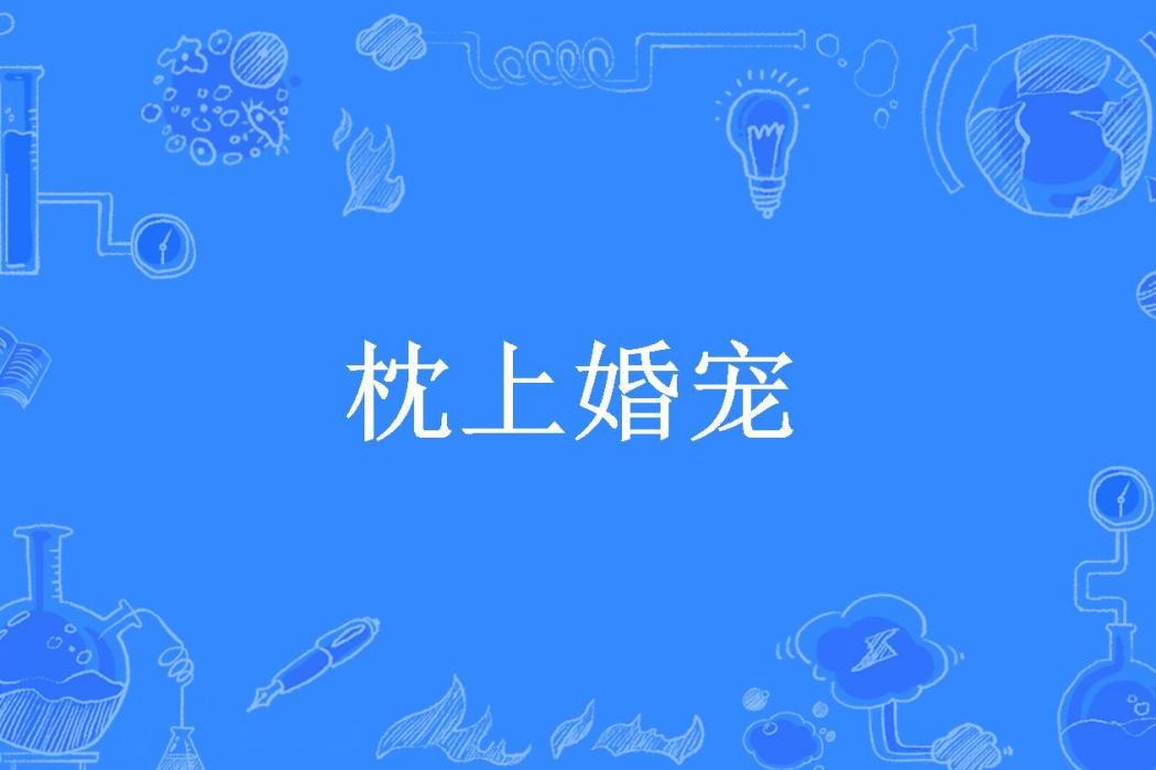 枕上婚寵(時眠所著小說)