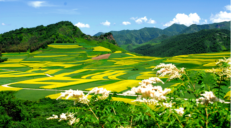 首陽山風景區