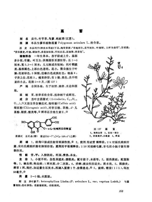 扁蓄組