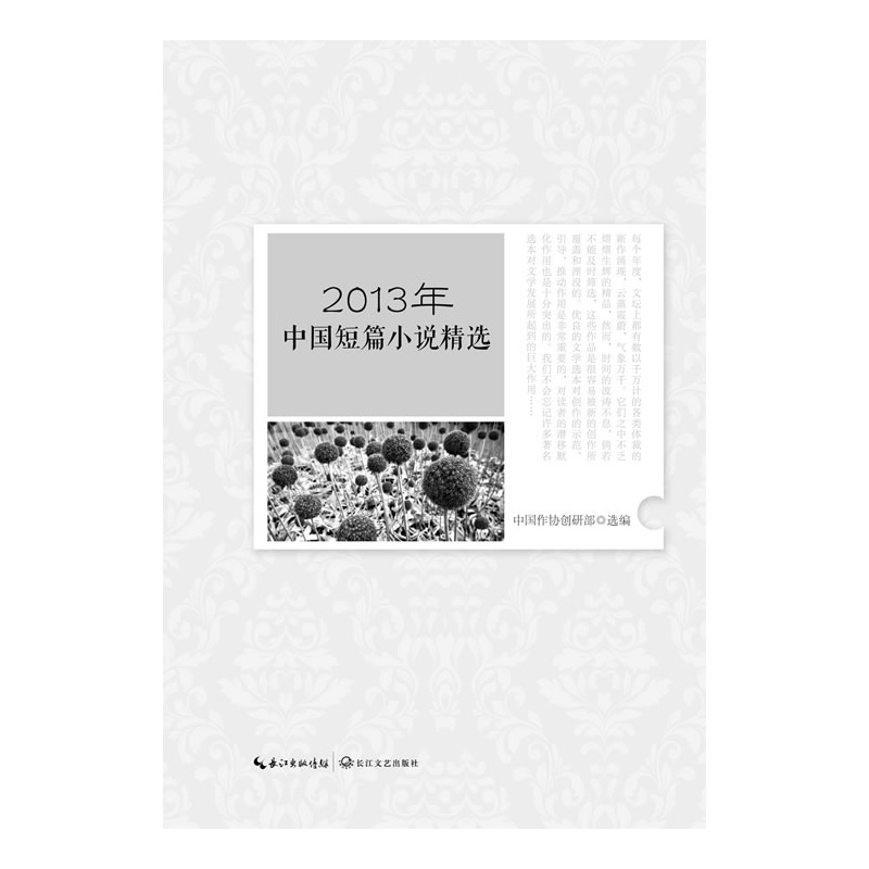 2013年中國短篇小說精選