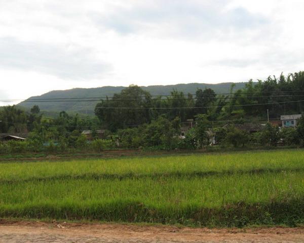 那養自然村