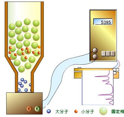 凝膠排阻色譜法