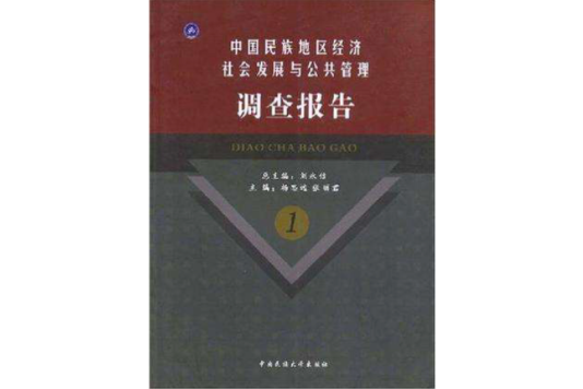 中國民族地區經濟社會發展與公共管理調查報告-1