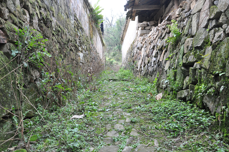 石墁三尺古鹽道