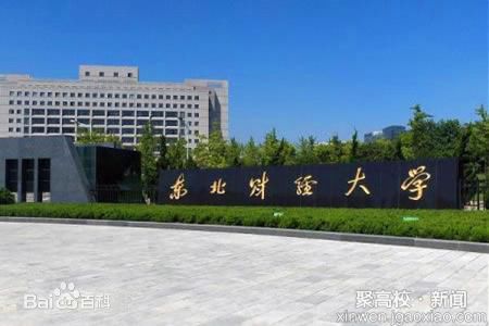 約克大學(加拿大公立綜合性大學)