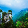 宜昌市柴埠溪大峽谷風景區