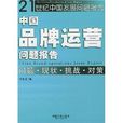 中國品牌運營問題報告：問題現狀挑戰對策