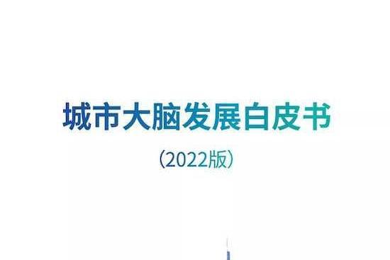 城市大腦發展白皮書(2022)