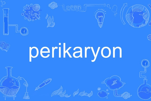 perikaryon