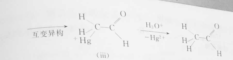 炔烴發生羥汞化反應機理2